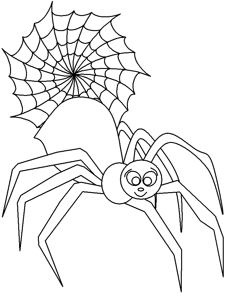 Coloriage d'une araignée suspendue dans sa toile