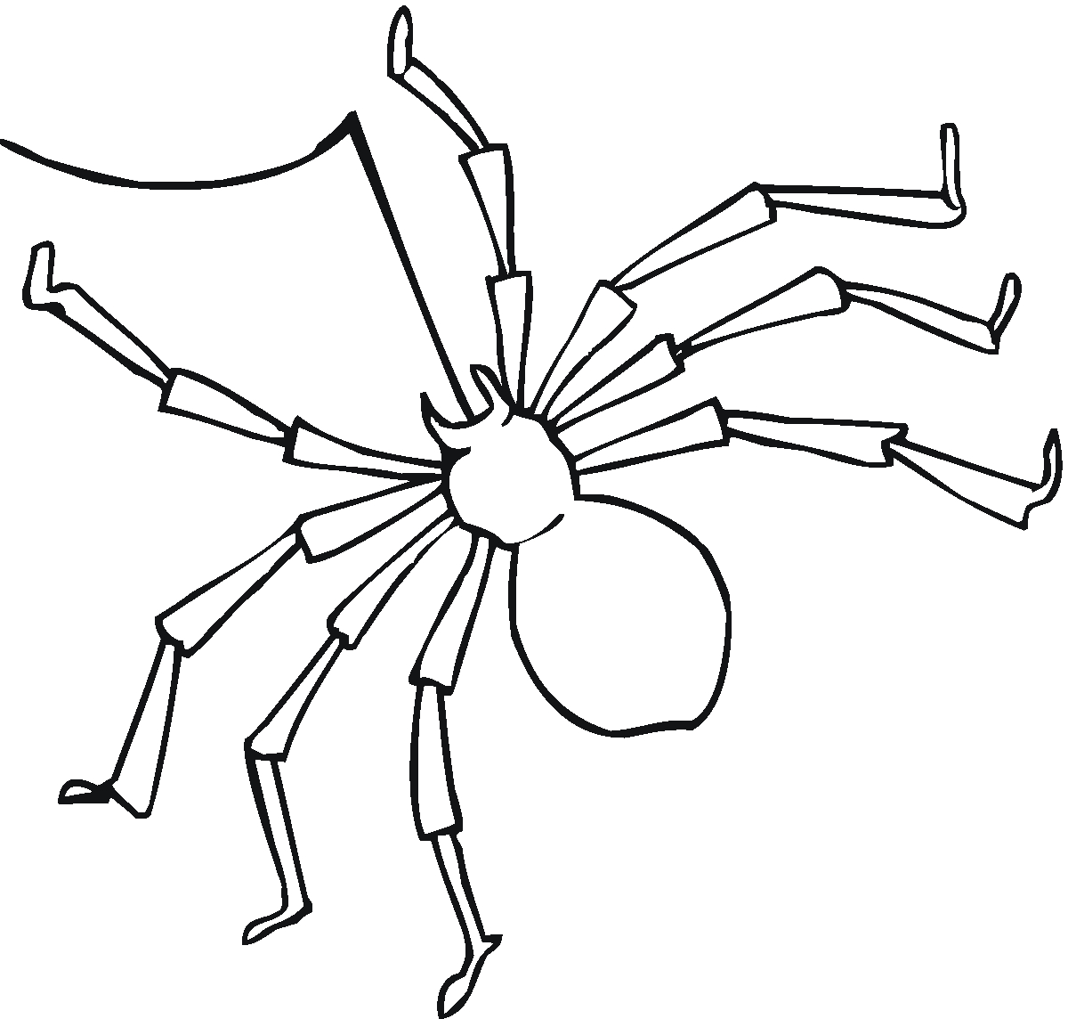 Coloriage d'une araignée suspendue dans sa toile