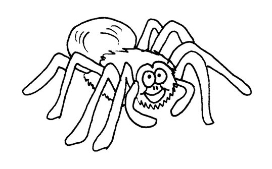 Coloriage d'une araignée suspendue dans sa toile