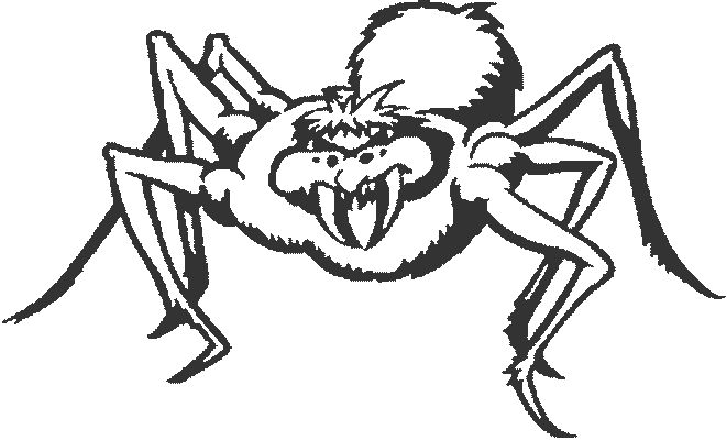 Coloriage d'une araignée suspendue dans sa toile