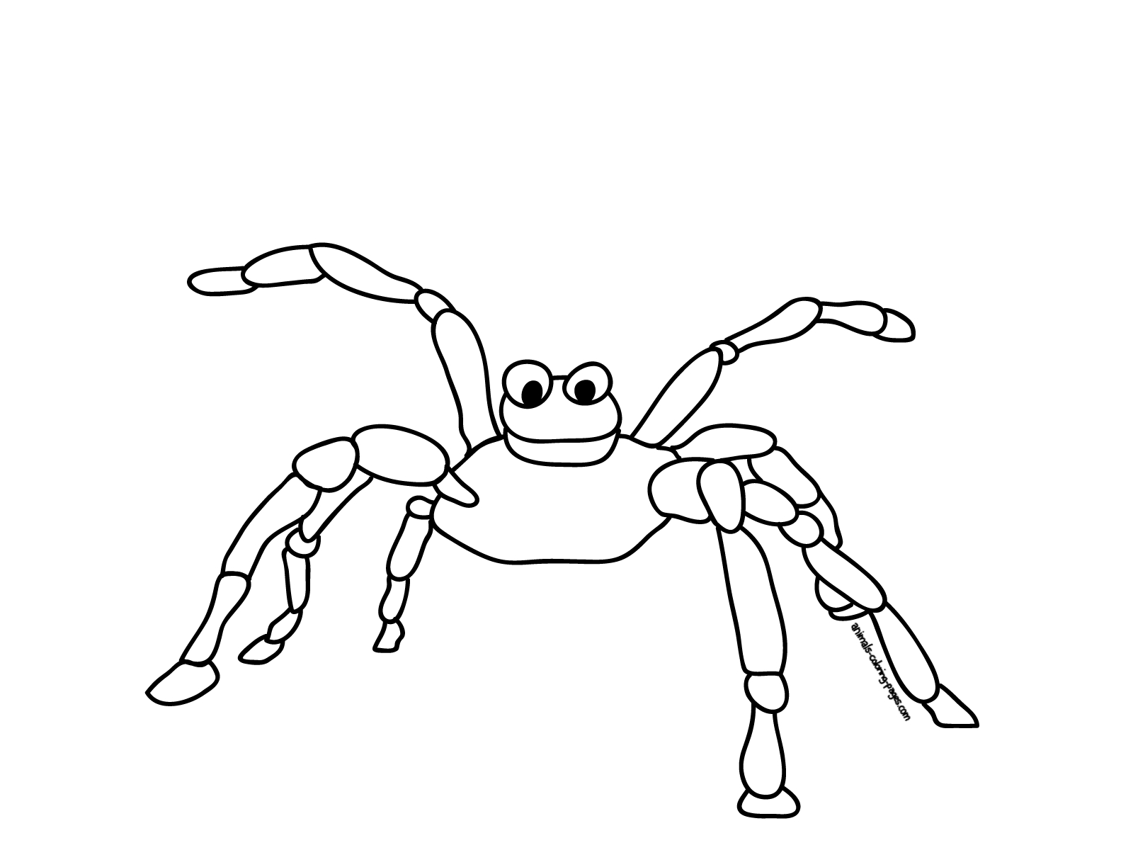 Coloriage d'une araignée suspendue dans sa toile