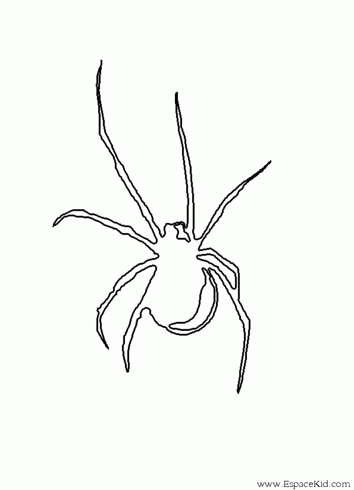 Coloriage d'une araignée suspendue dans sa toile