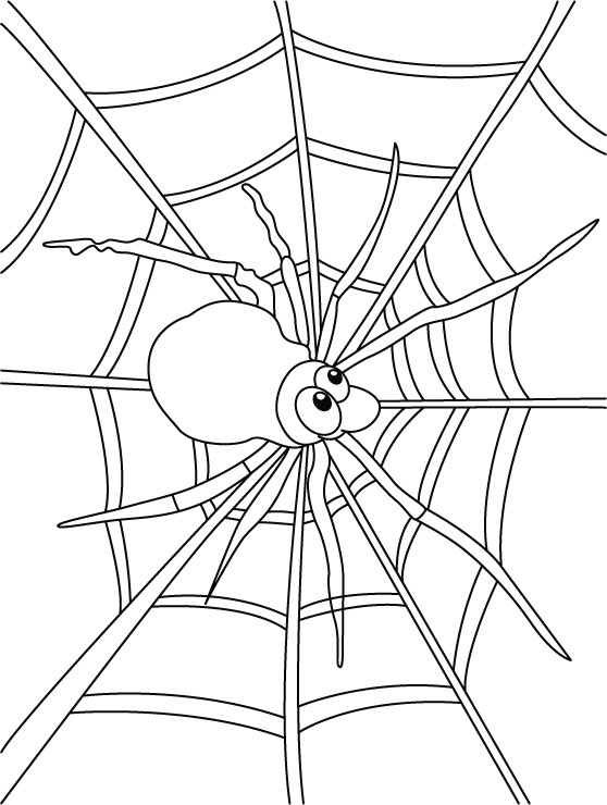 Coloriage d'une araignée suspendue dans sa toile