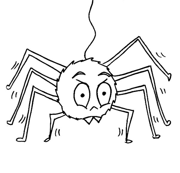 Coloriage d'une araignée suspendue dans sa toile