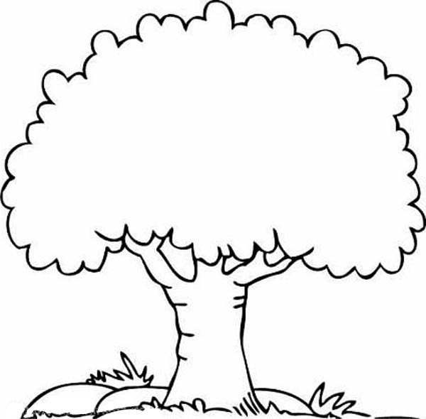 Coloriage d'un arbre majestueux avec des racines et un feuillage luxuriant