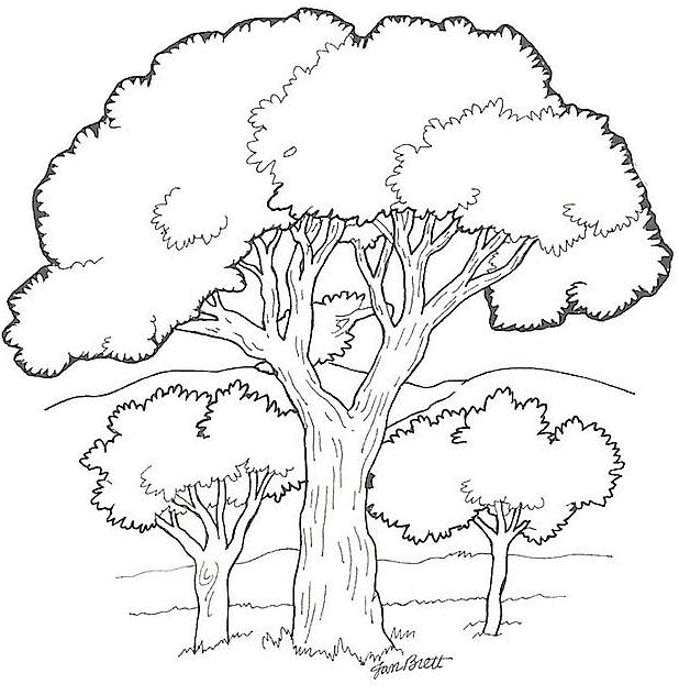 Coloriage d'un arbre majestueux au feuillage détaillé