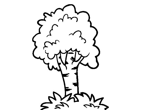 Coloriage d’un arbre majestueux dans un paysage naturel
