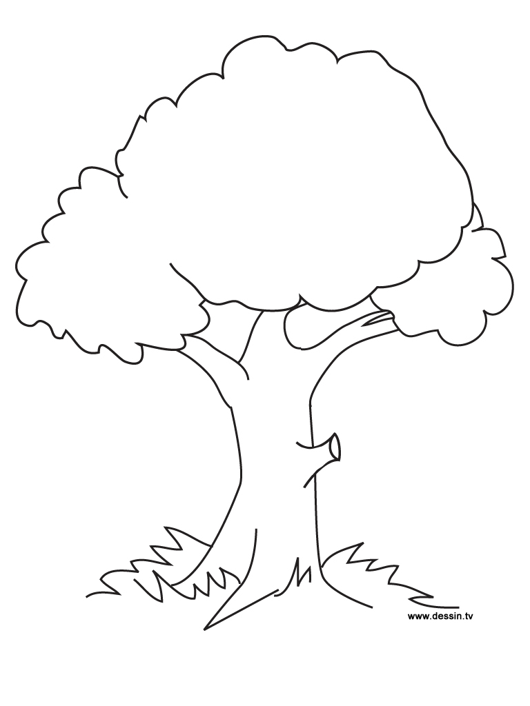 Coloriage d'un arbre majestueux entouré de détails naturels