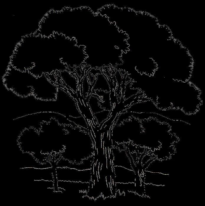 Coloriage d'un arbre majestueux avec un paysage naturel