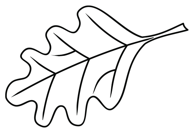 Coloriage d'un arbre majestueux sous un ciel nuageux