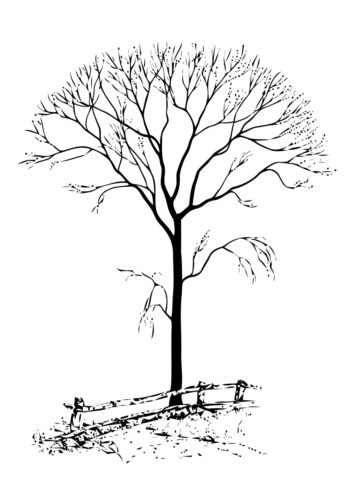 Coloriage d'un arbre majestueux avec des feuilles luxuriantes