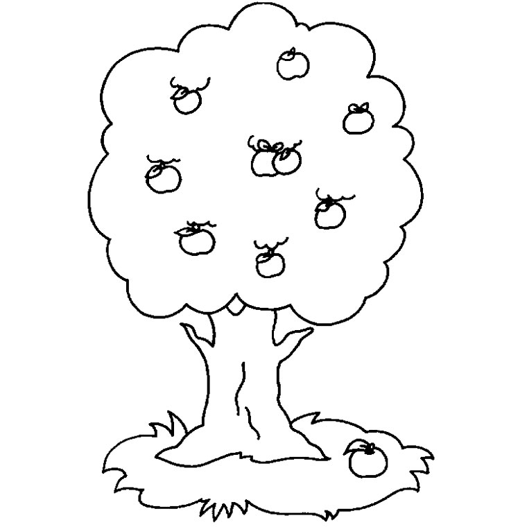 Coloriage d'un arbre majestueux sous un ciel clair
