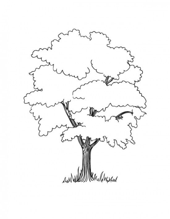 Un arbre majestueux se dresse dans un paysage simple