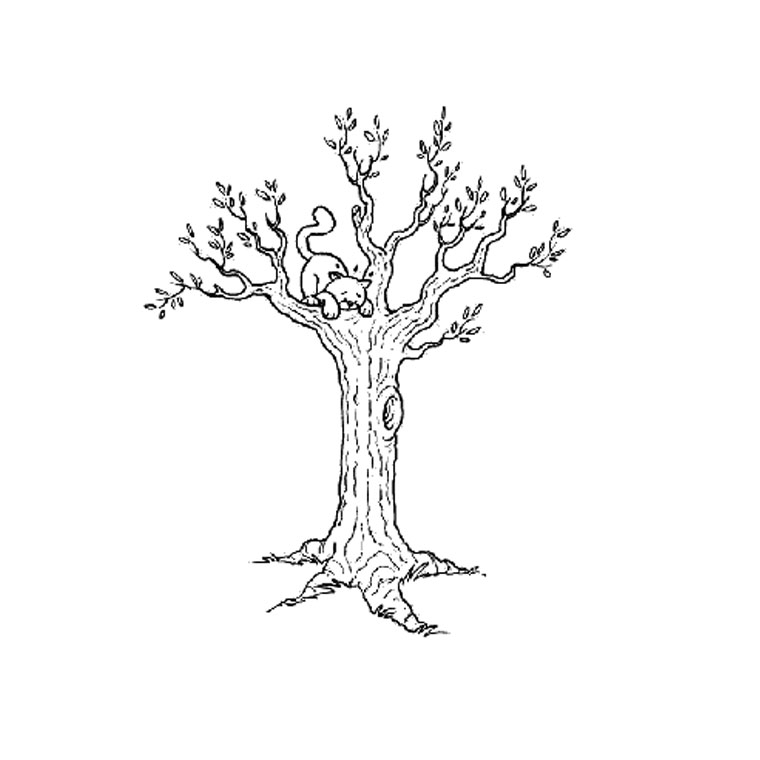 Un arbre majestueux entouré de son feuillage luxuriant