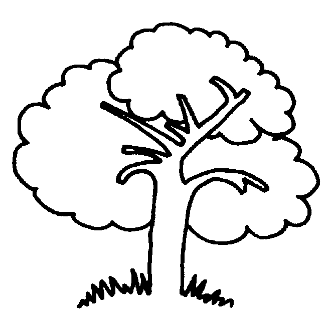 Coloriage d'un arbre majestueux dans un paysage naturel