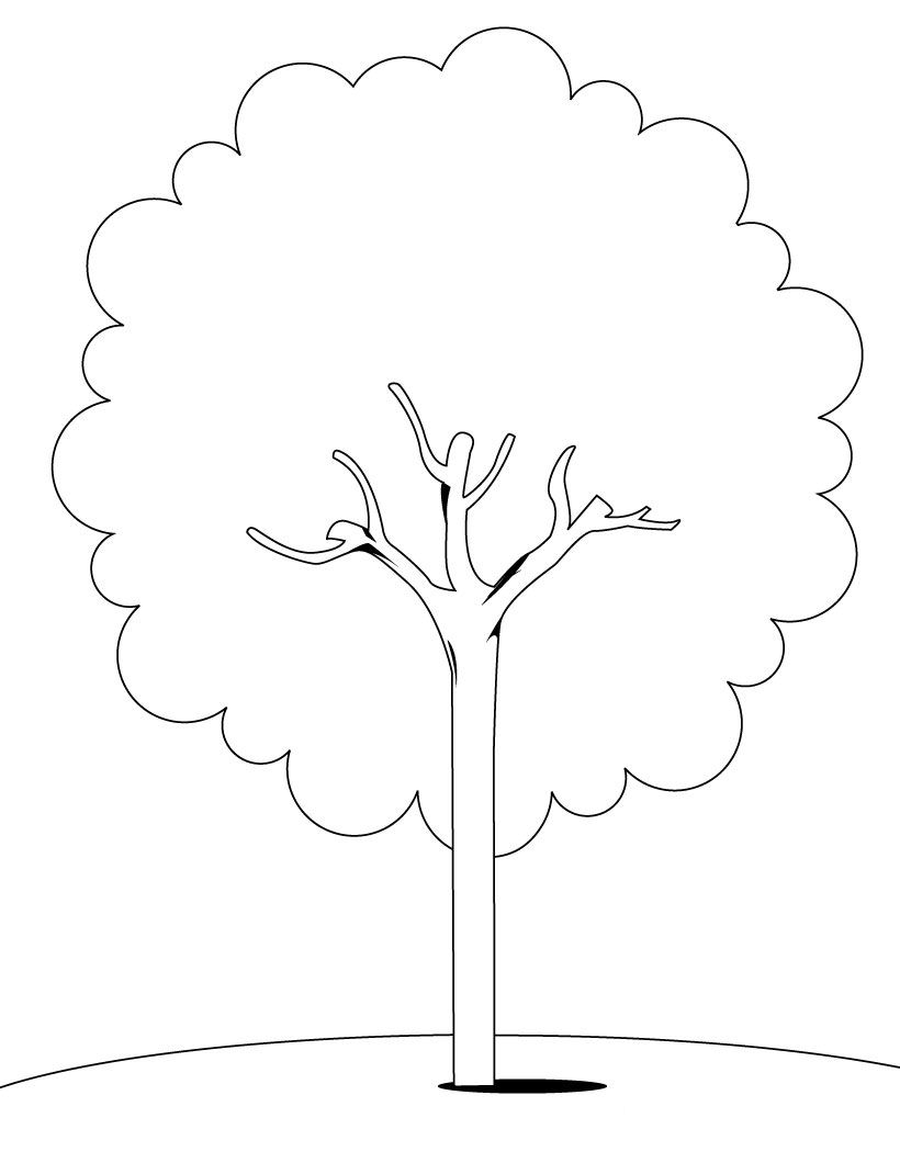 Coloriage d'un arbre majestueux entouré de petits détails naturels