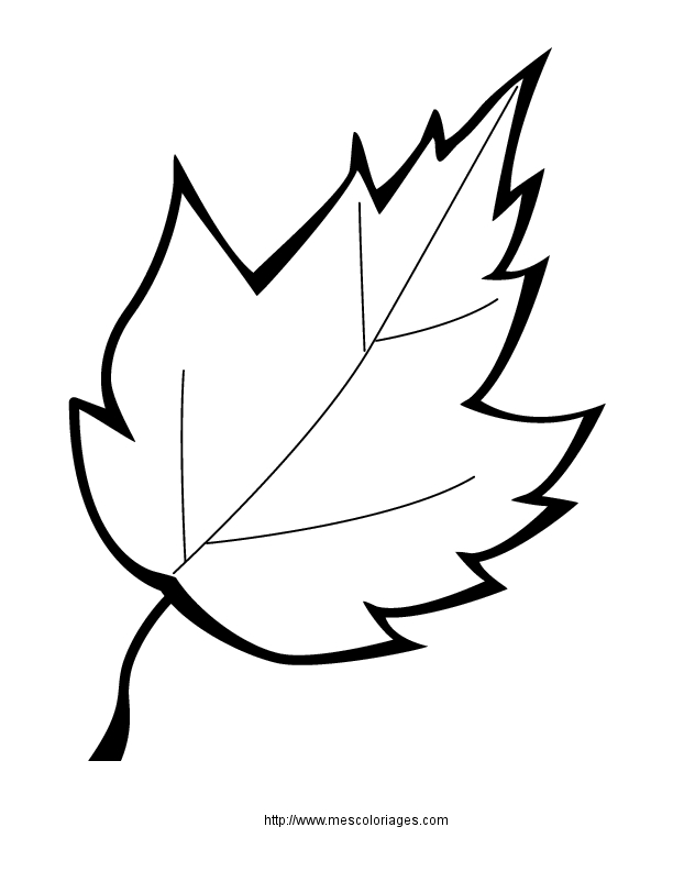 Coloriage d'un arbre majestueux avec un fond naturel