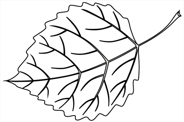 Coloriage d'un arbre majestueux avec un ciel dégagé