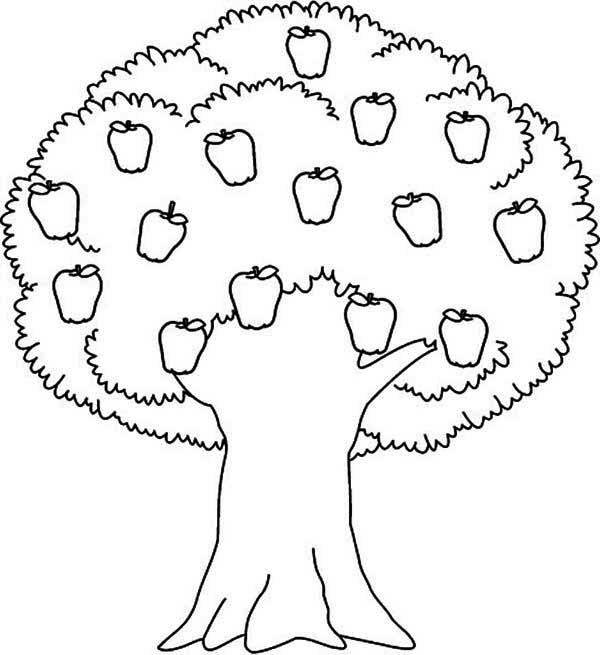 Coloriage d'un arbre majestueux sur un fond simple