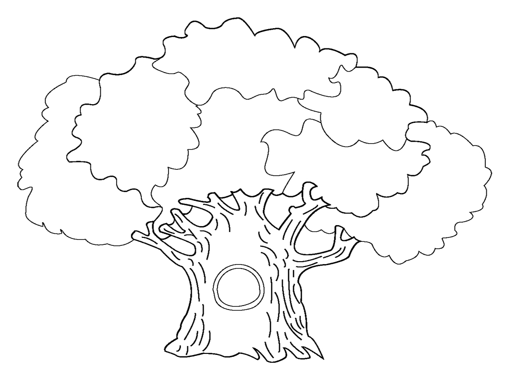 Coloriage d'un arbre majestueux avec un feuillage luxuriant