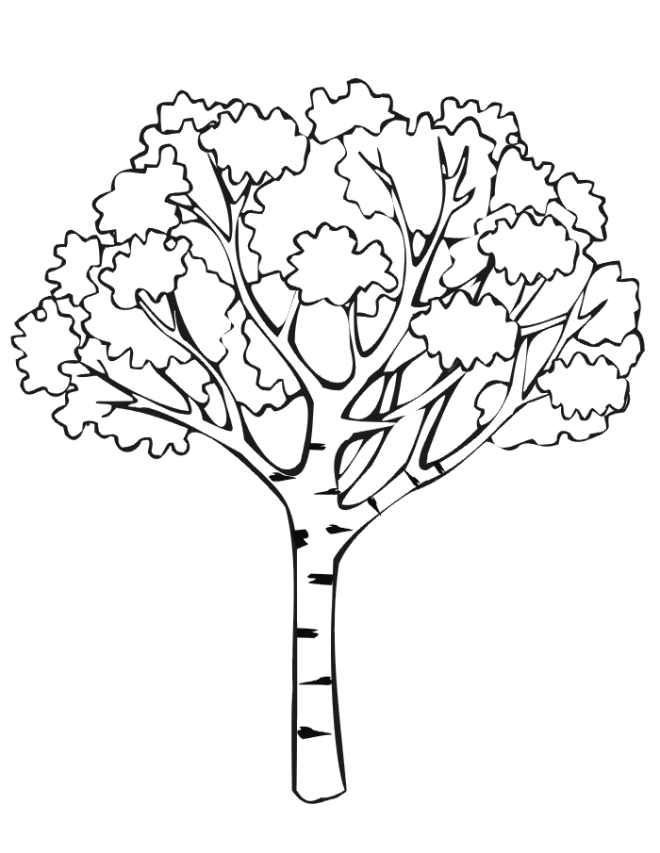 Coloriage d'un arbre majestueux avec un feuillage luxuriant Coloriage d'un arbre majestueux avec un feuillage luxuriant
