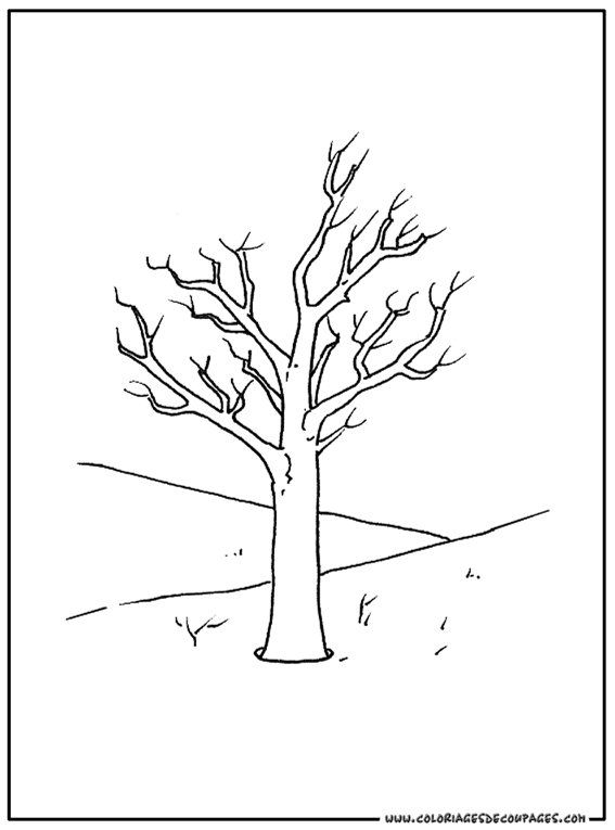 Coloriage d'un arbre majestueux avec un ciel dégagé
