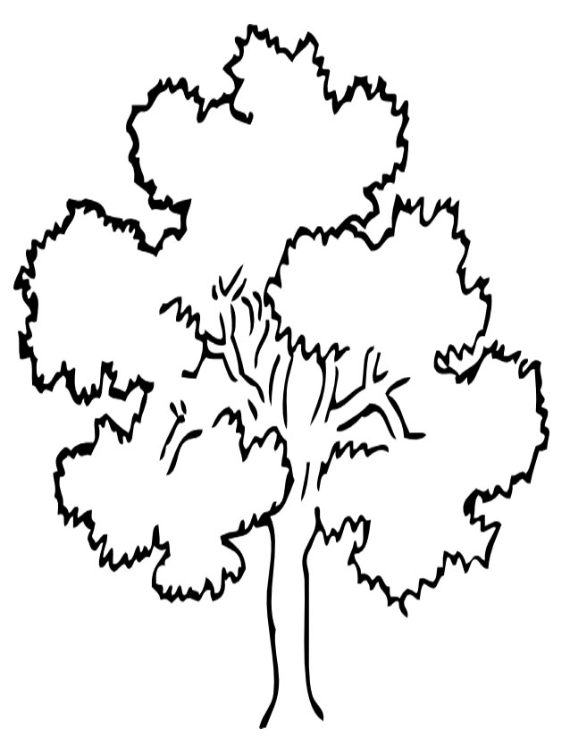 Coloriage d'un arbre majestueux dans un paysage naturel Coloriage d'un arbre majestueux dans un paysage naturel