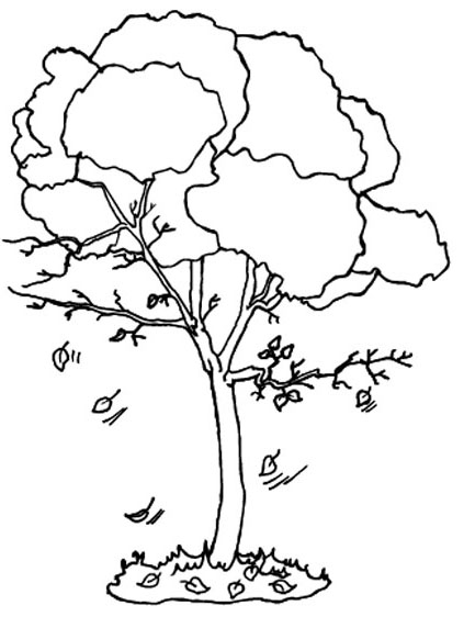Coloriage d'un arbre majestueux en milieu naturel