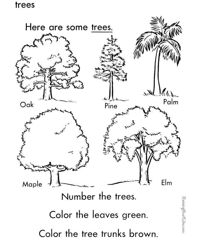Coloriage d'un arbre majestueux en pleine nature
