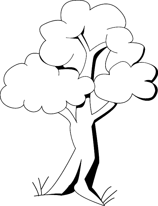 Coloriage d'un arbre majestueux avec un feuillage luxuriant