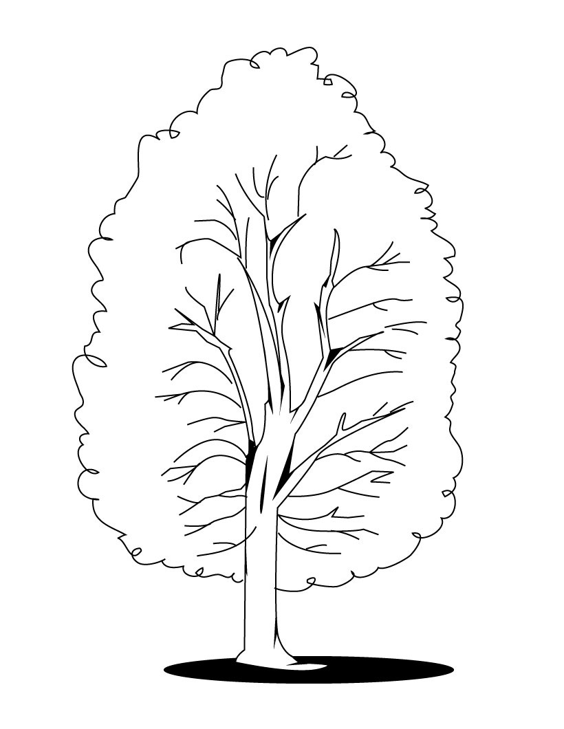 Coloriage d'un arbre majestueux avec de nombreuses feuilles et un sol texturé Coloriage d'un arbre majestueux avec de nombreuses feuilles et un sol texturé