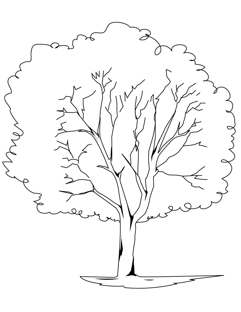 Coloriage d'un arbre majestueux avec des racines et des branches détaillées