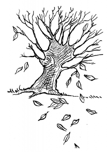 Coloriage d'un arbre majestueux avec un tronc et un feuillage luxuriant