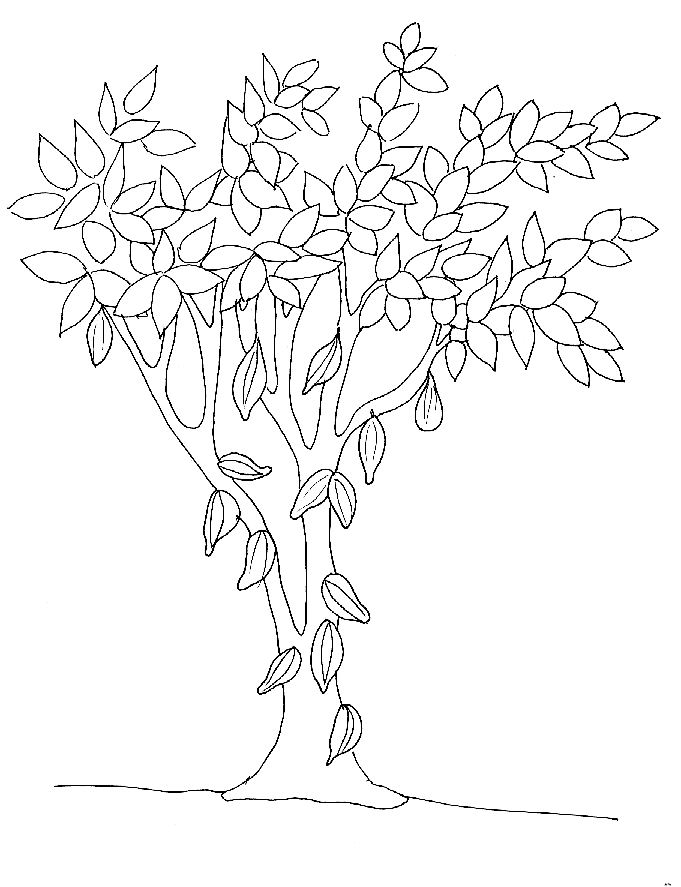 Coloriage d'un arbre majestueux dans un paysage naturel Coloriage d'un arbre majestueux dans un paysage naturel