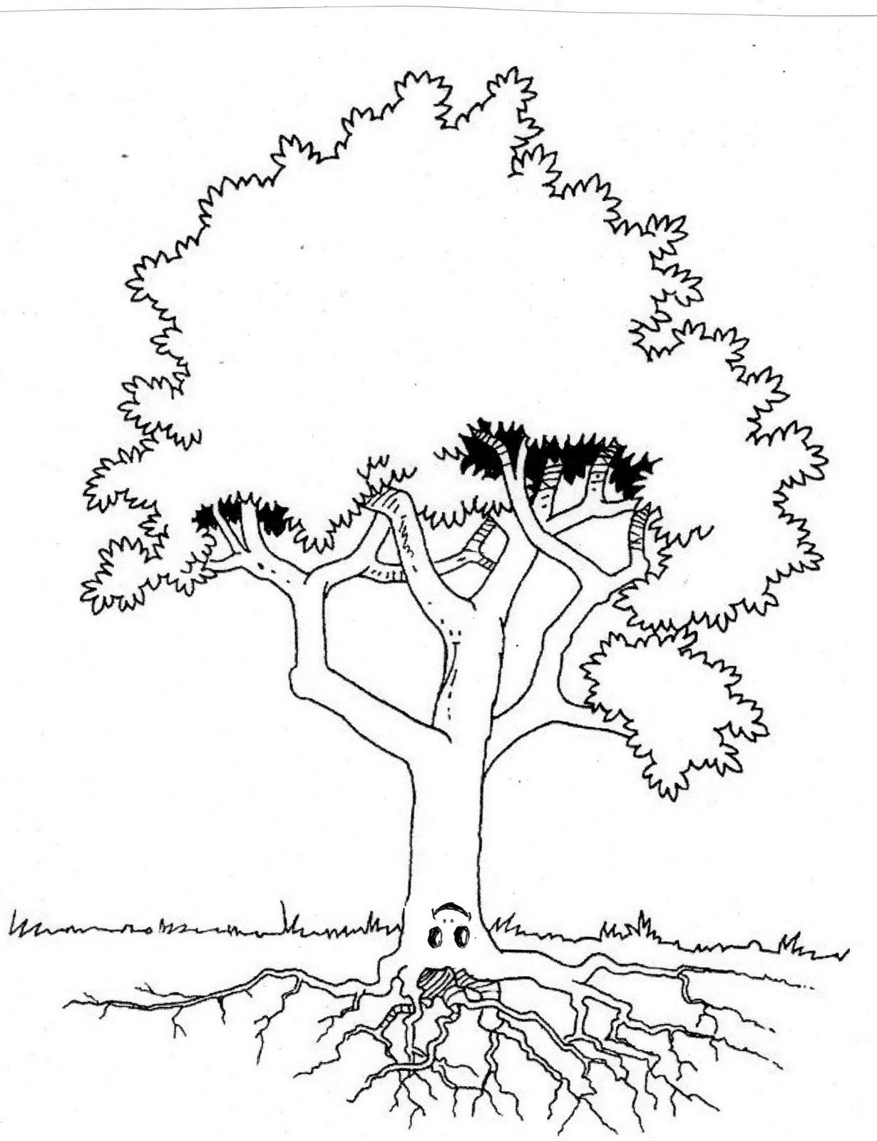 Coloriage d'un arbre majestueux avec des racines et des feuillages détaillés Coloriage d'un arbre majestueux avec des racines et des feuillages détaillés