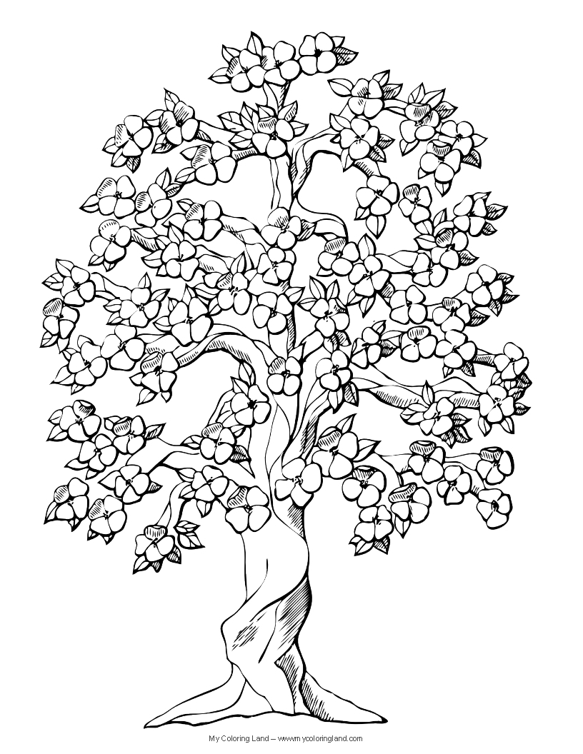 Coloriage d'un arbre majestueux avec des détails floraux