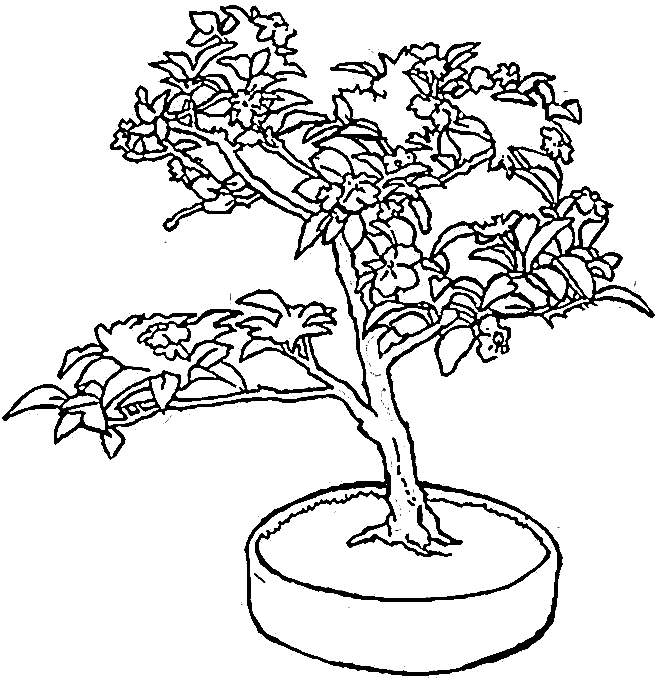 Coloriage d'un arbre majestueux avec ses feuilles et son tronc détaillé Coloriage d'un arbre majestueux avec ses feuilles et son tronc détaillé