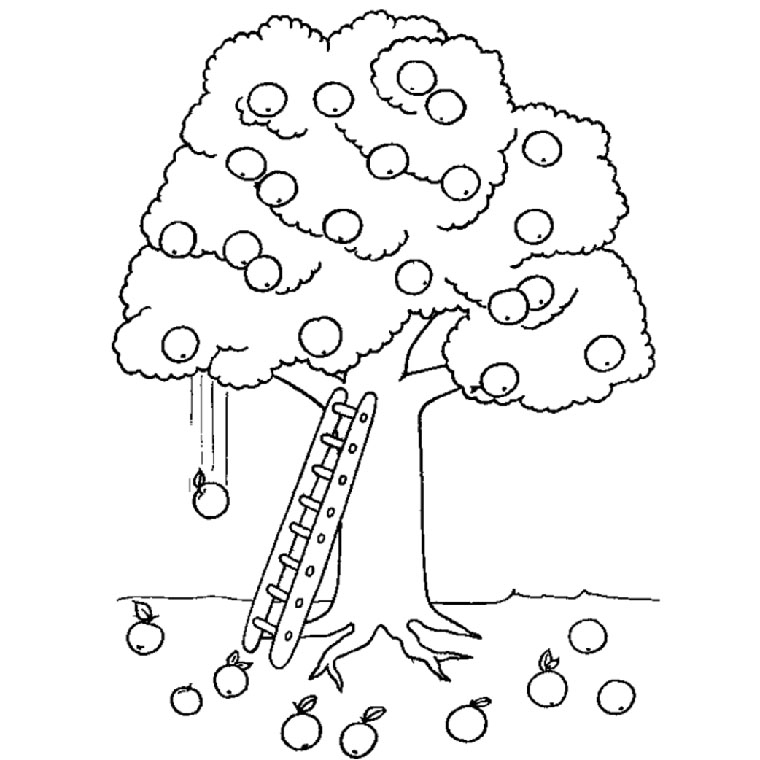 Coloriage d'un arbre avec des feuilles et racines visibles