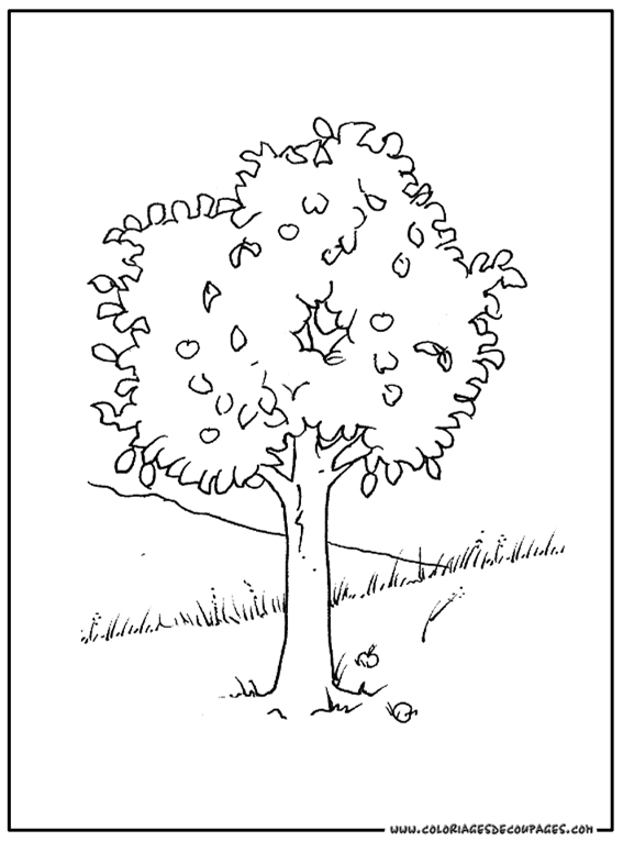 Coloriage d'un arbre majestueux avec un paysage naturel