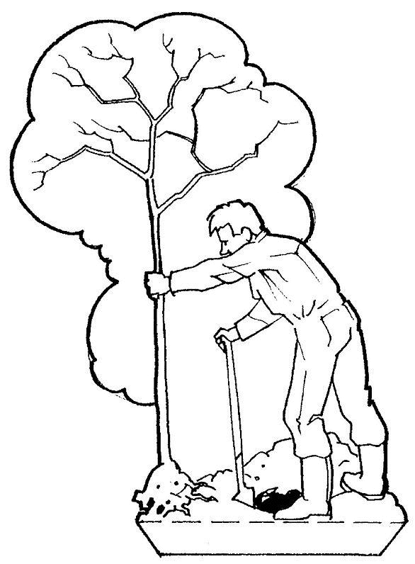 Coloriage d'un arbre majestueux avec son feuillage luxuriant
