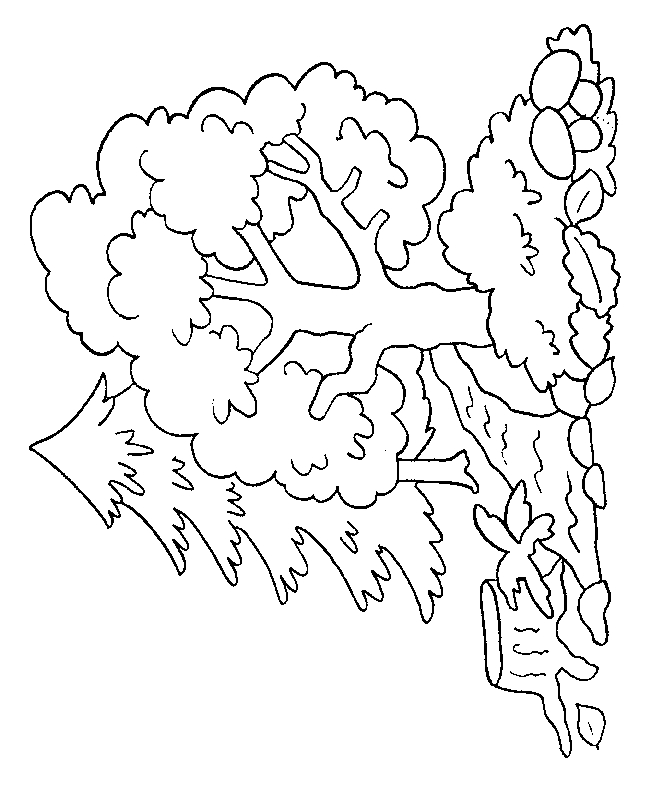 Coloriage d'un arbre majestueux sous un ciel dégagé