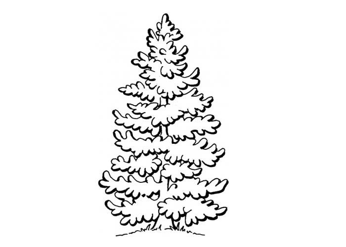 Coloriage d'un arbre majestueux avec des détails naturels