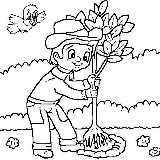 Coloriage d'un arbre majestueux avec des feuilles luxuriantes