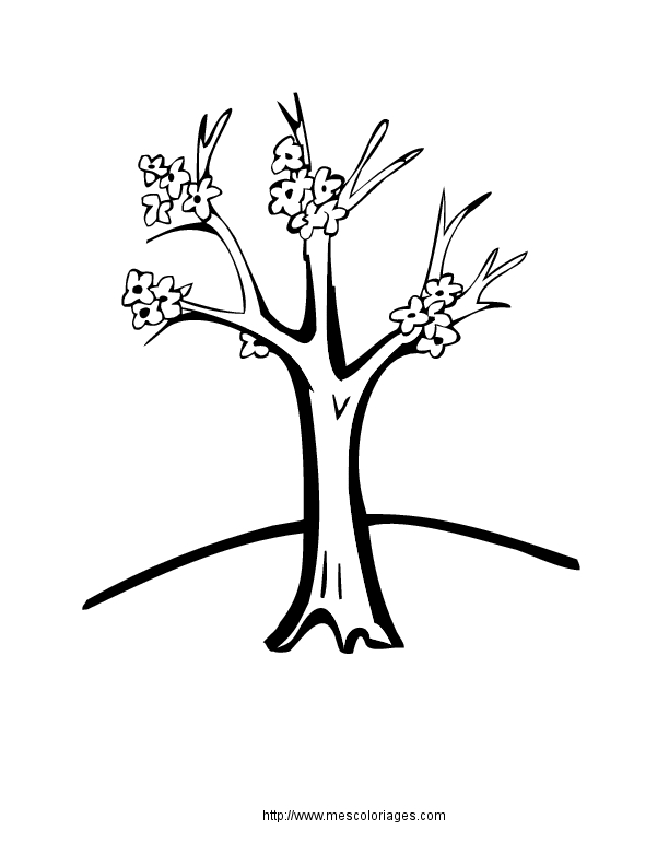 Coloriage d'un arbre majestueux entouré de nuages