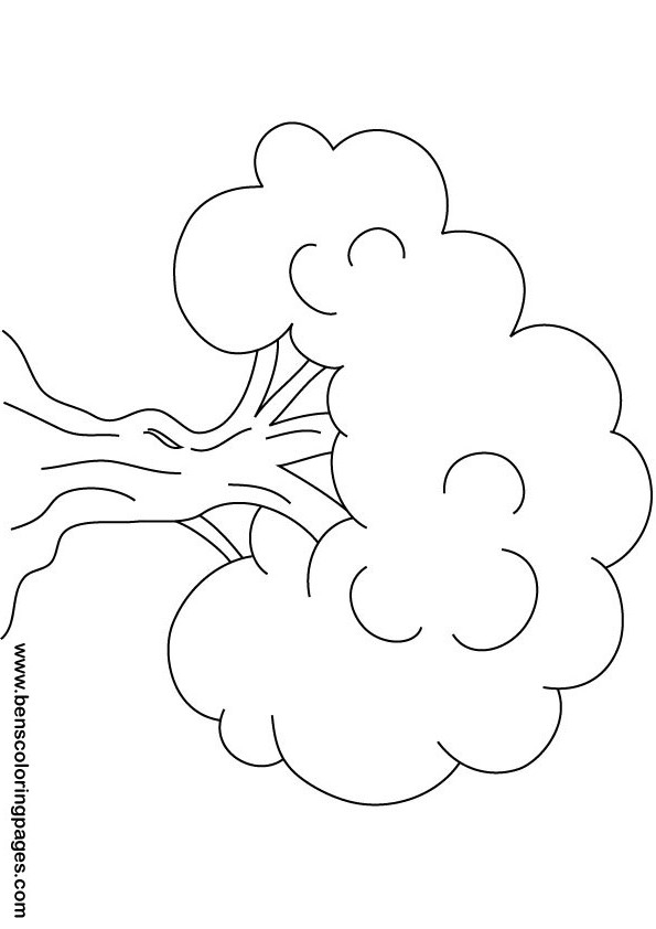 Coloriage d'un arbre majestueux au feuillage riche