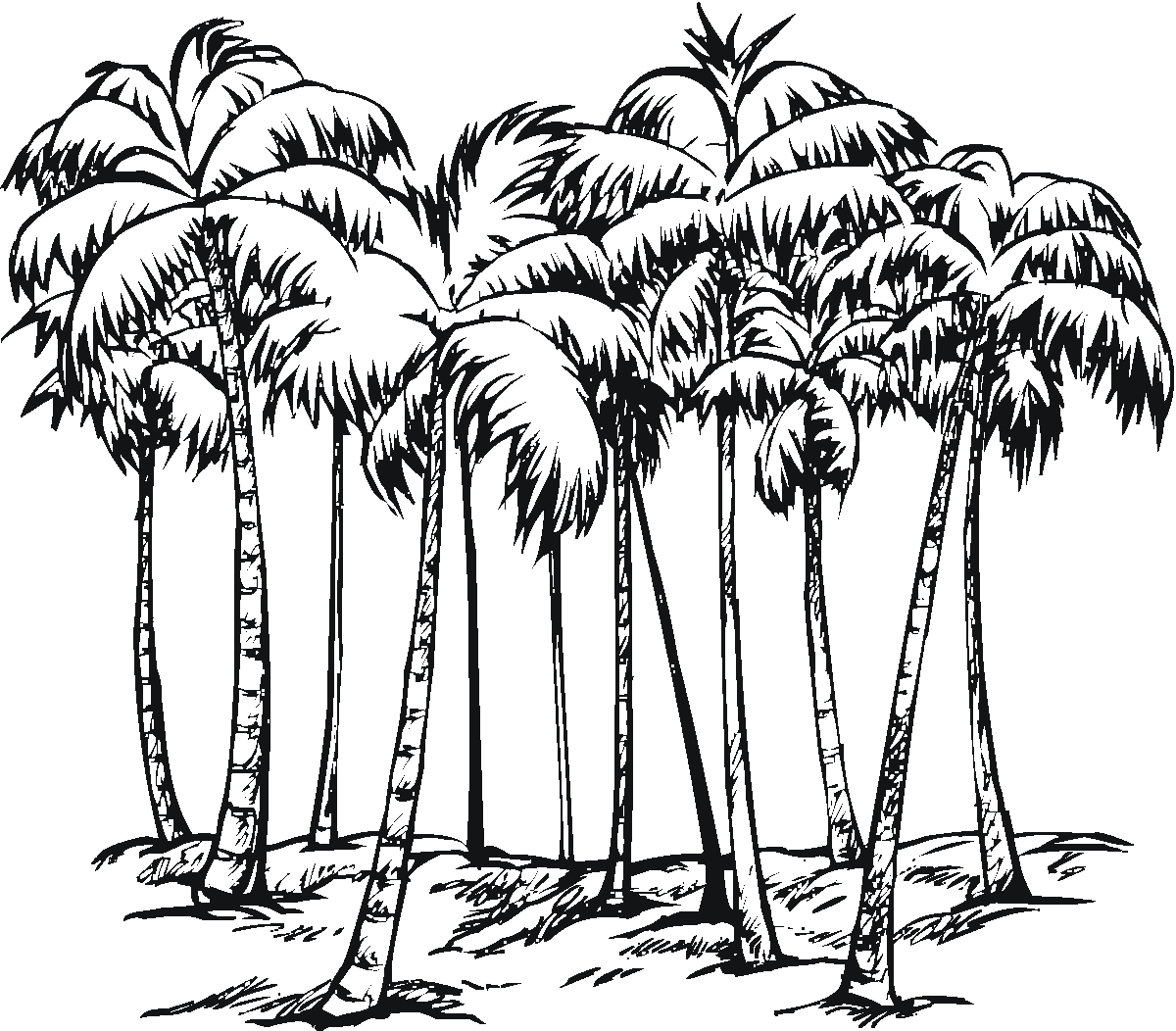 Coloriage d'un arbre majestueux entouré de feuillage