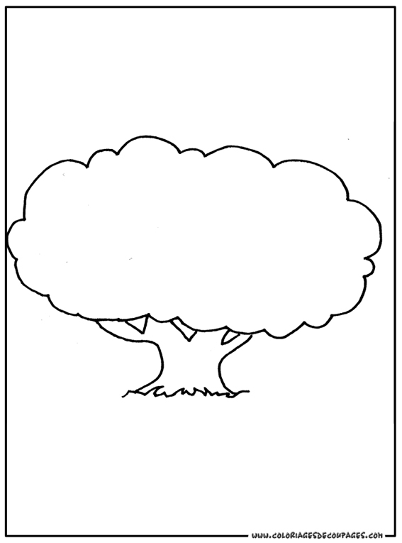 Coloriage d'un arbre majestueux avec son feuillage luxuriant