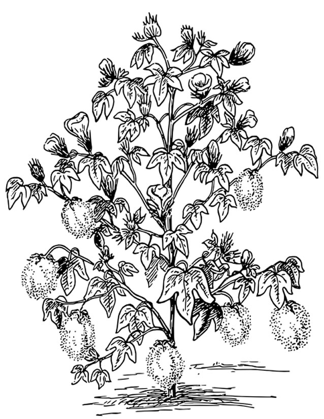 Coloriage d'un arbre majestueux dans un paysage naturel