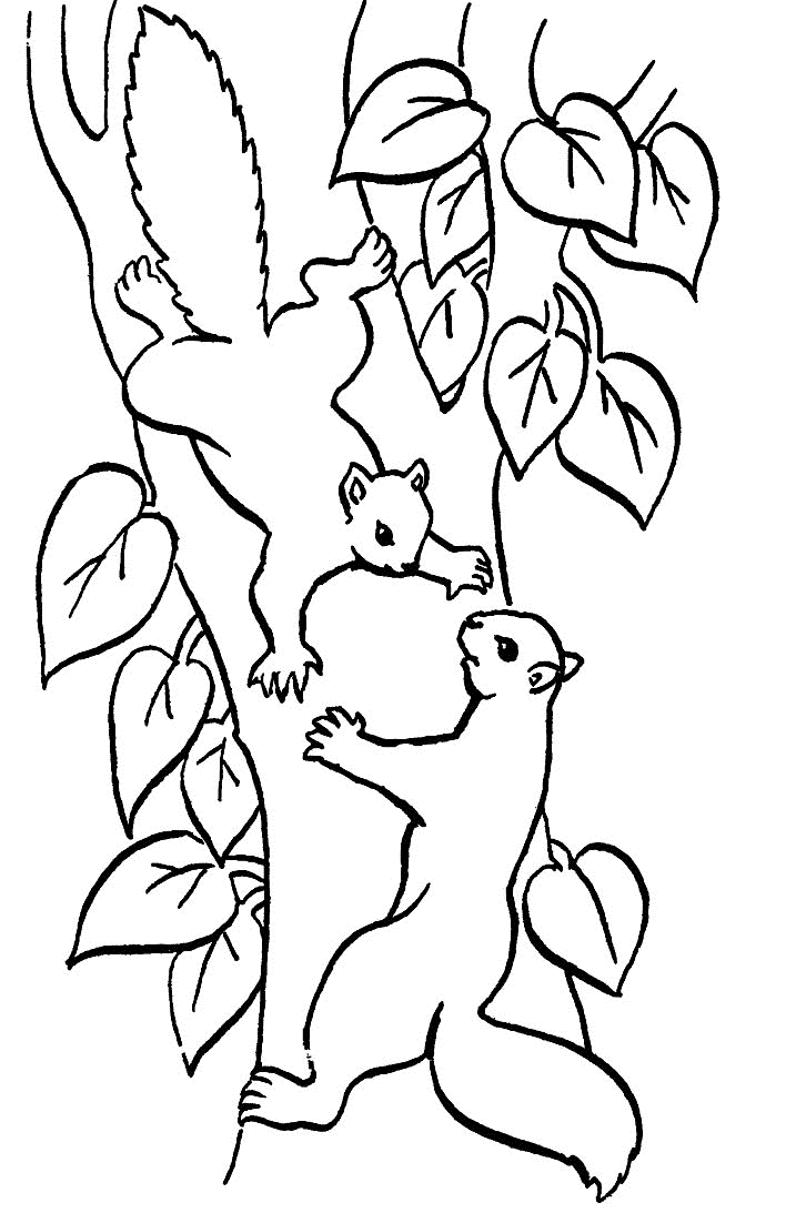 Coloriage d'un arbre majestueux avec des feuilles luxuriantes