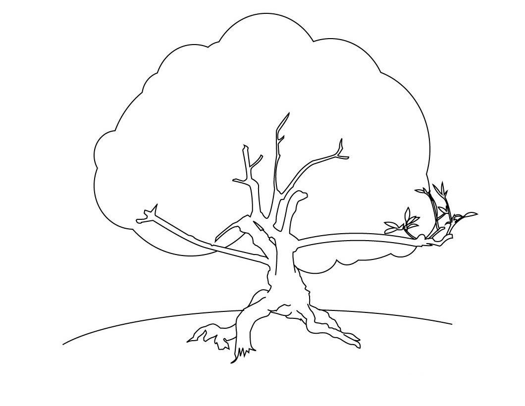 Coloriage d'un arbre majestueux sous un ciel dégagé